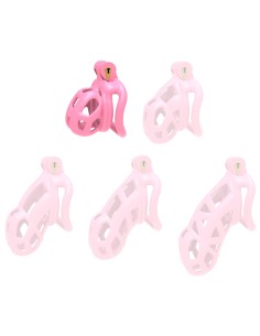 Cage Aspic S Rose 5 x 3.3cm