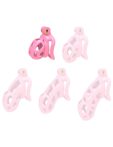 Cage Aspic S Rose 5 x 3.3cm