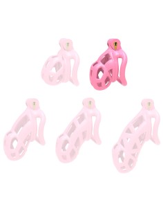 Cage Aspic M Rose 6.5 x 3.3cm