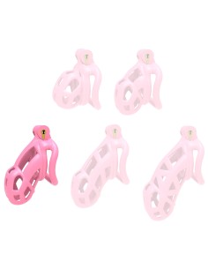 Cage Aspic L Rose 9.5 x 3.4cm