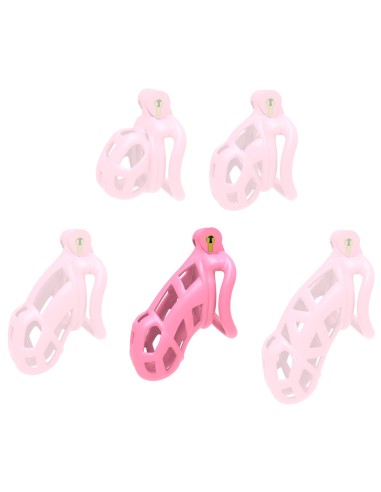 Cage Aspic XL Rose 10.5 x 3.7cm