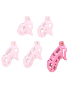 Cage Aspic XXL Rose 11.5 x 3.3cm