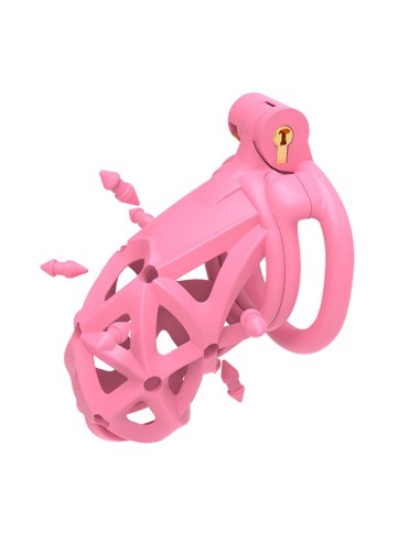 Cage Diapik Rose M 10 x 3.3cm