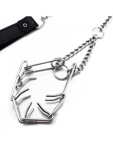 Laisse avec collier étrangleur pour pénis