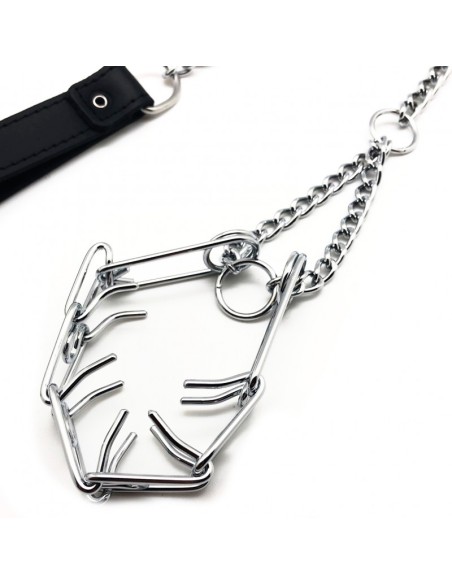 Laisse avec collier étrangleur pour pénis