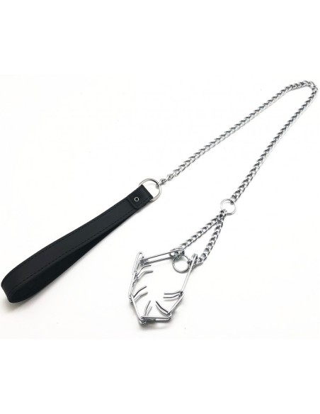 Laisse avec collier étrangleur pour pénis