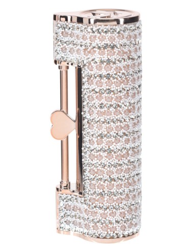 Mini Vibro + 4 embouts Angel Rose