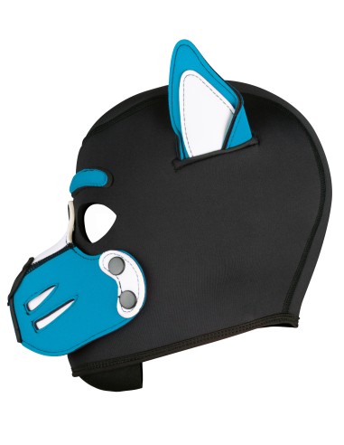 Cagoule Husky Bleu turquoise