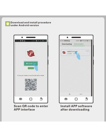 Boules de Geisha vibrantes Elvira 8 x 3.2 cm Rose