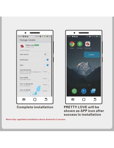 Boules de Geisha vibrantes Elvira 8 x 3.2 cm Rose