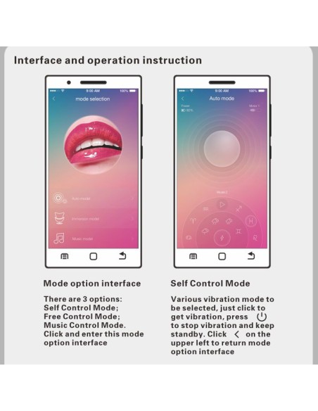 Boules de Geisha Vibrantes Elvira Violet