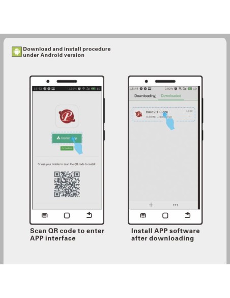 Boules de Geisha Vibrantes Elvira Violet