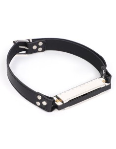 Bâillon harmonica Music Gag