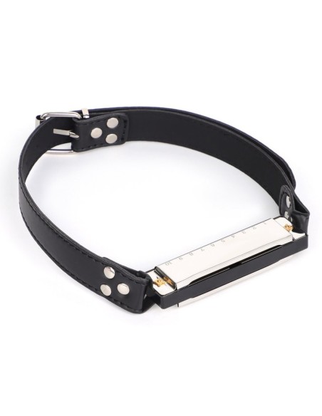 Bâillon harmonica Music Gag