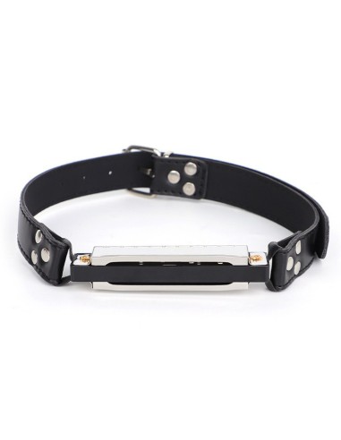 Bâillon harmonica Music Gag