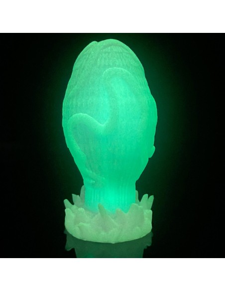 Plug Drakegg L 15 x 8.5cm