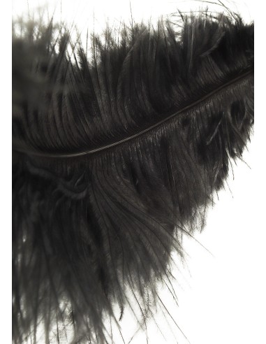 Plumeau Double Ticklers 66cm