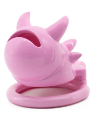 Cage Vikya 7.5 x 3.2 cm Rose