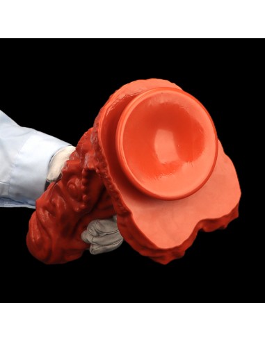 Gode Rhakhar S 16 x 5.2cm