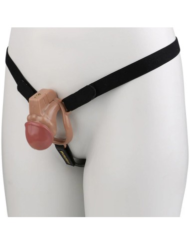 Cage Shydick Marron S 7.5 x 3.3cm