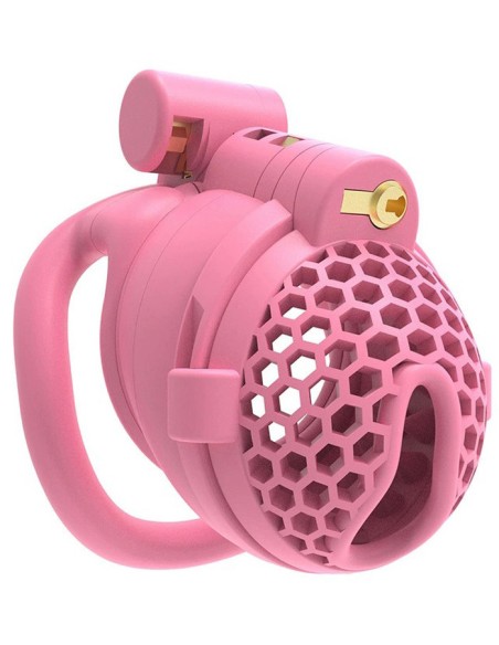 Cage avec Picots Hombick 6.5 x 3.2 cm Rose