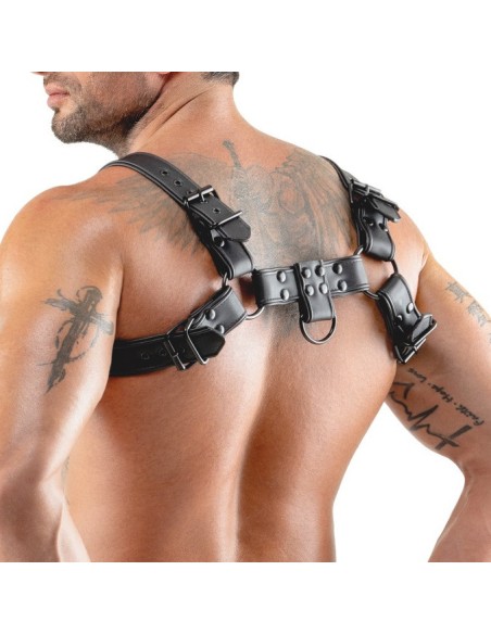 Harnais Chestty Noir