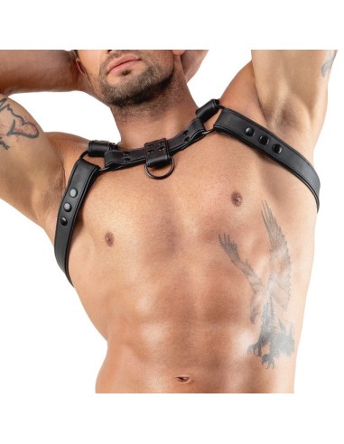 Harnais Chestty Noir