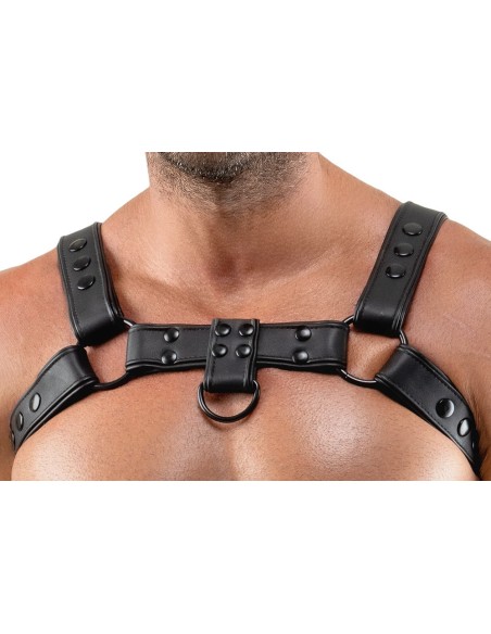 Harnais Chestty Noir