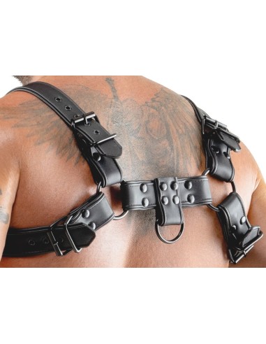 Harnais Chestty Noir