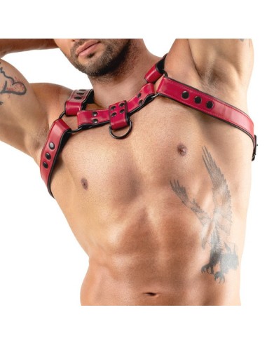 Harnais Chestty Rouge