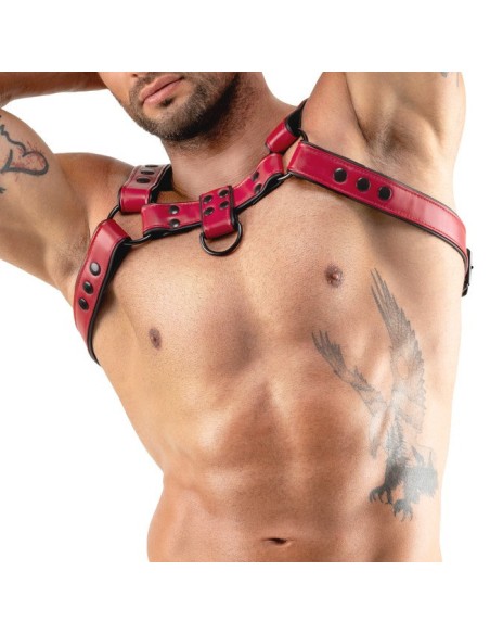 Harnais Chestty Rouge