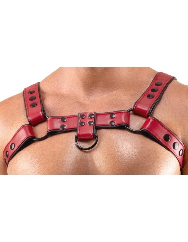Harnais Chestty Rouge