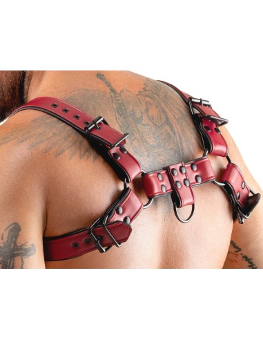 Harnais Chestty Rouge