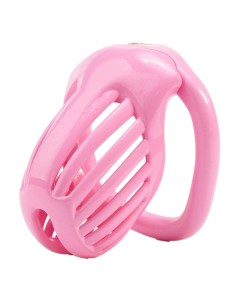 Cage Lineath 6 x 3.2 cm Rose