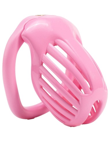 Cage Lineath 6 x 3.2 cm Rose