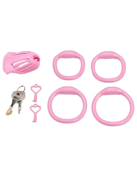 Cage Lineath 6 x 3.2 cm Rose