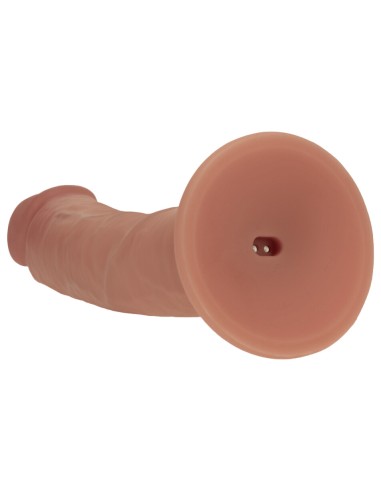 Gode vibrant Cesarino latino 21 x 4.5cm