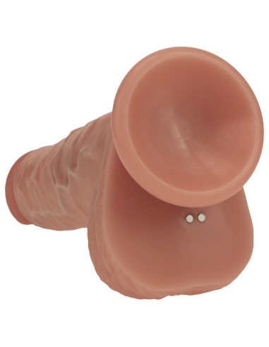 Gode vibrant va-et-vient Demetrio latino 16 x 4.3cm