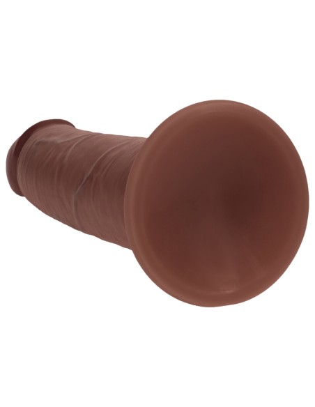 Gode Giacomo latino 21 x 4.6cm