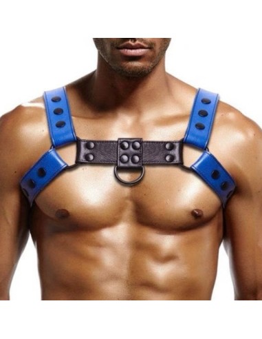 Harnais Bully Jump Bleu-Noir
