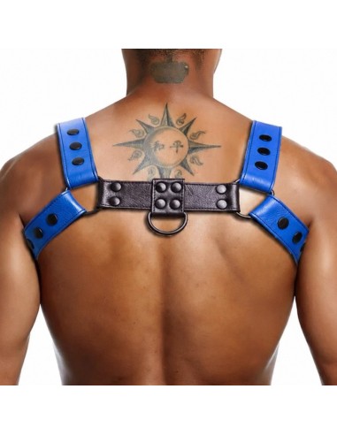 Harnais Bully Jump Bleu-Noir