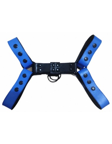 Harnais Bully Jump Bleu-Noir
