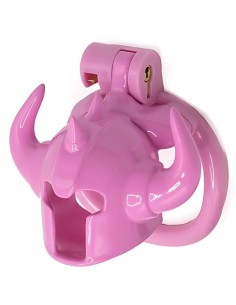 Cage Caskaur 5 x 3 cm Rose