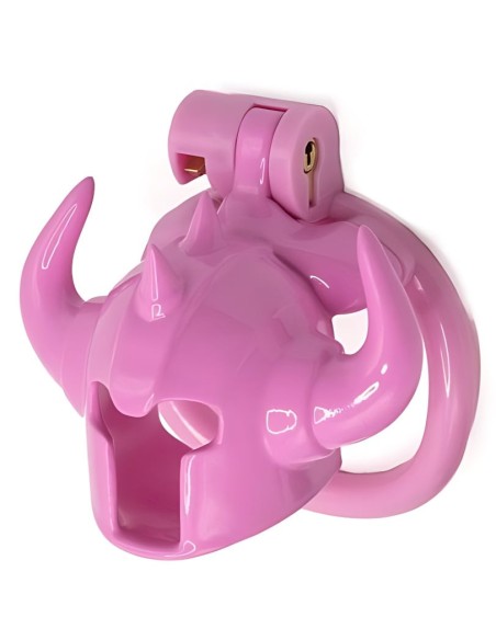 Cage Caskaur 5 x 3 cm Rose