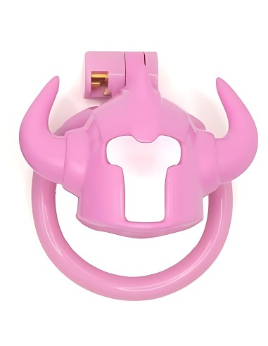 Cage Caskaur 5 x 3 cm Rose