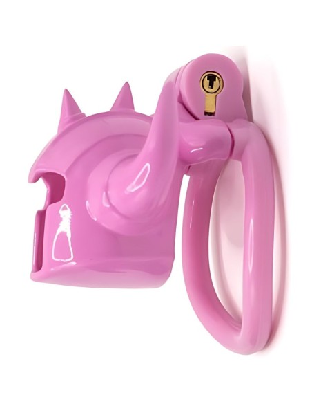 Cage Caskaur 5 x 3 cm Rose