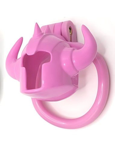Cage Caskaur 5 x 3 cm Rose