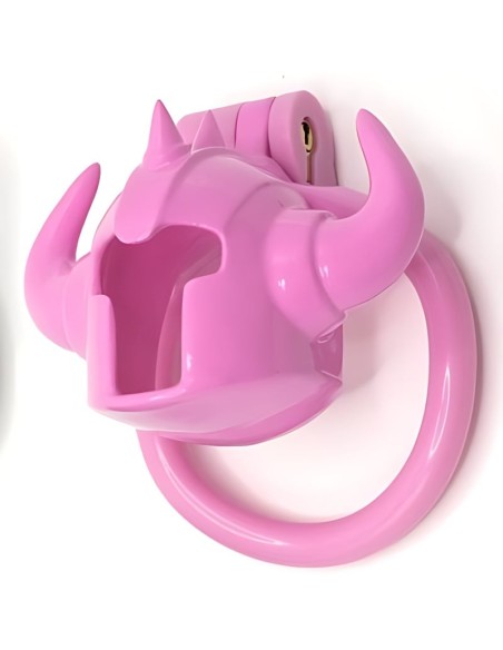 Cage Caskaur 5 x 3 cm Rose