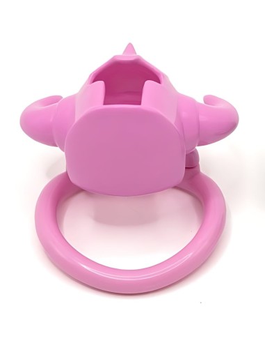 Cage Caskaur 5 x 3 cm Rose