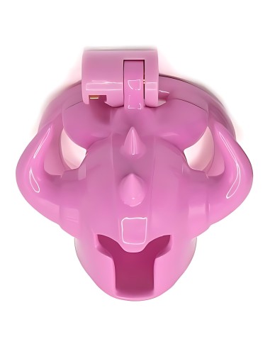 Cage Caskaur 5 x 3 cm Rose